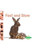 Fast and Slow