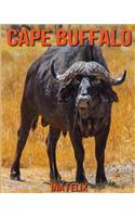Cape Buffalo