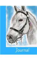 White Indian Horse Journal