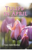 Tulips in April