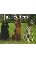 Just Setters