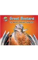 Great Bustard