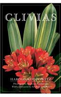 Clivias