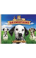 Daring Dalmatians