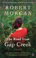 Road from Gap Creek