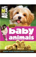 Baby Animals (Animal Planet Animal Bites)