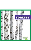 Forests