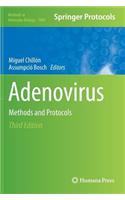 Adenovirus