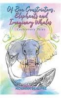Of Boa Constrictors, Elephants and Imaginary Whales