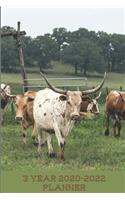 Cattle Rancher's 3 Year 2020-2022 Planner