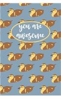 You Are Awesome