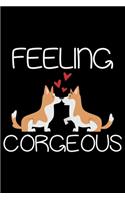 Feeling Corgeous
