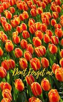 Don't Forget Me