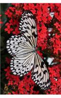 Stunning White and Black Butterfly Idea Malabarica with Red Flowers Journal: Take Notes, Write Down Memories in this 150 Page Lined Journal