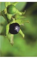 Atropa Belladonna Berries Journal: Take Notes, Write Down Memories in this 150 Page Lined Journal