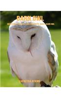 Barn Owl