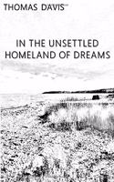 In the Unsettled Homeland of Dreams