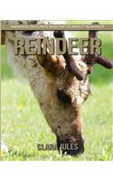 Reindeer: Amazing Pictures and Facts About Reindeer