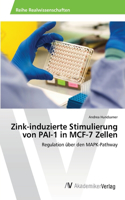 Zink-induzierte Stimulierung von PAI-1 in MCF-7 Zellen
