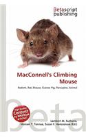 Macconnell's Climbing Mouse