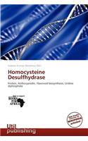 Homocysteine Desulfhydrase