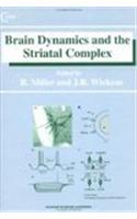 Brain Dynamics and the Striatal Complex
