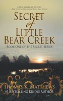 Secret of Little Bear Creek: Book one of the Bradley Chronicles(1 Bradley Family History)