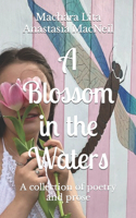 Blossom in the Waters
