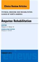 Amputee Rehabilitation, an Issue of Physical Medicine and Rehabilitation Clinics of North America