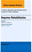 Amputee Rehabilitation, an Issue of Physical Medicine and Rehabilitation Clinics of North America