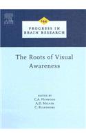 The Roots of Visual Awareness