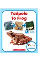 Tadpole to Frog (Rookie Read-About Science: Life Cycles)