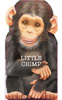 Little Chimp