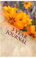 3-Year Journal
