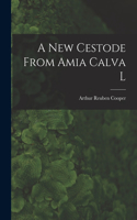 New Cestode From Amia Calva L [microform]