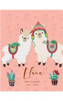 2019 2020 15 Months Llama Daily Planner