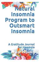 Natural Insomnia Program to Outsmart Insomnia: A Gratitude Journal for Insomnia