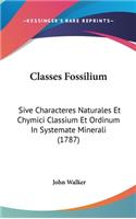 Classes Fossilium: Sive Characteres Naturales Et Chymici Classium Et Ordinum in Systemate Minerali (1787)