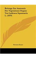 Beitrage Zur Anatomie Der Vegetations-Organe Von Lathraea Squamaria L. (1879): (German)