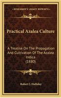 Practical Azalea Culture