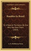 Rambles in Brazil