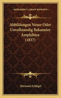 Abbildungen Neuer Oder Unvollstandig Bekannter Amphibien (1837)