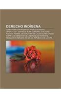 Derecho Indigena: Confederacion Iroquesa, Pueblo de Indios, Caracoles y Juntas de Buen Gobierno, Sociedad Politica Indiana(Spanish)