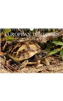 European Tortoises / UK-Version 2017