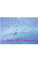 La Danse Des Etourneaux 2018
