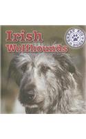 Irish Wolfhounds: (Great Big Dogs)