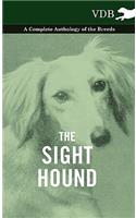 Sight Hound - A Complete Anthology of the Breeds