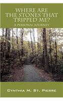 Where Are the Stones That Tripped Me? a Personal Journey