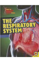 Respiratory System: (How the Human Body Works)