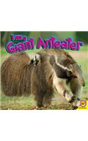 I Am a Giant Anteater